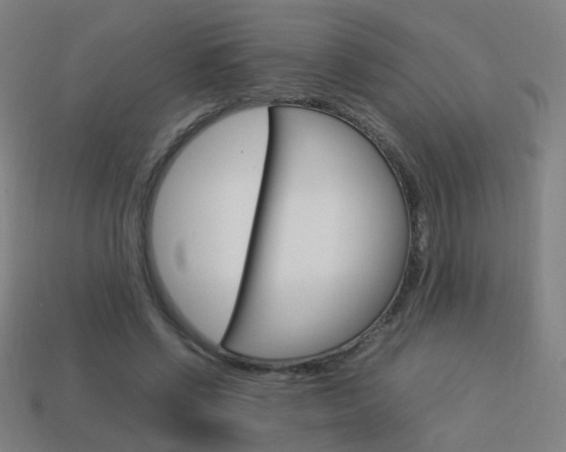 X0000114150542200910081115