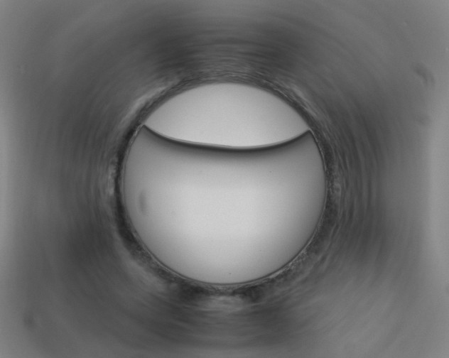 X0000114150543200910081115