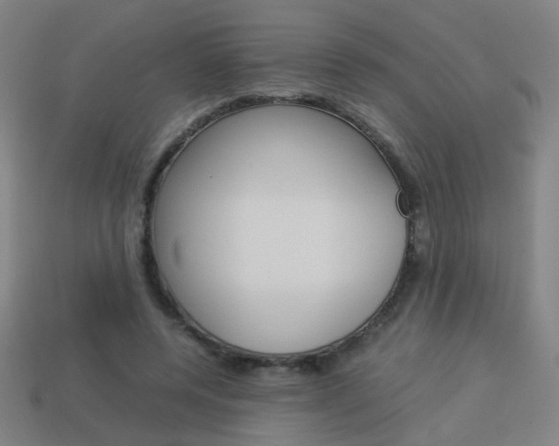 X0000114150544200910081115