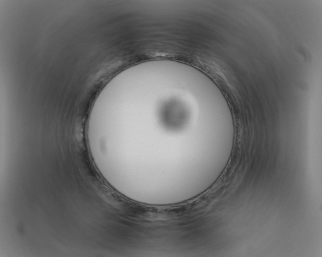 X0000114150545200910081115