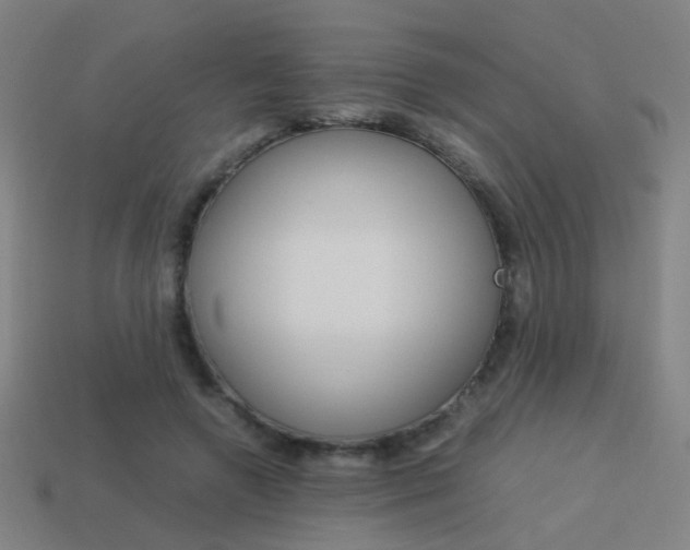 X0000114150546200910081115