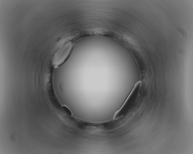 X0000114150548200910081115
