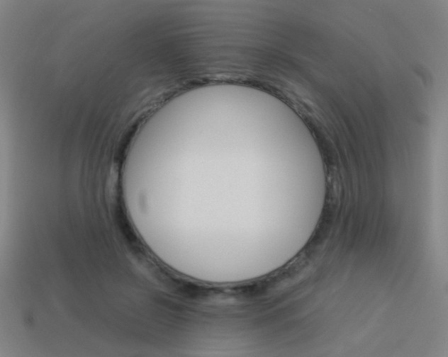 X0000114150550200910081115