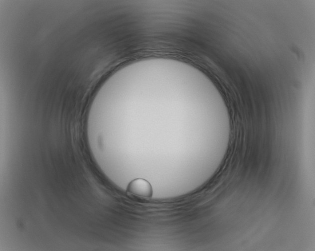 X0000114150552200910081115