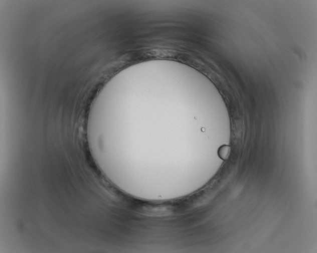 X0000114150553200910081115