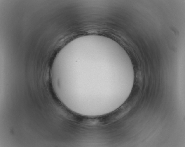X0000114150554200910081115
