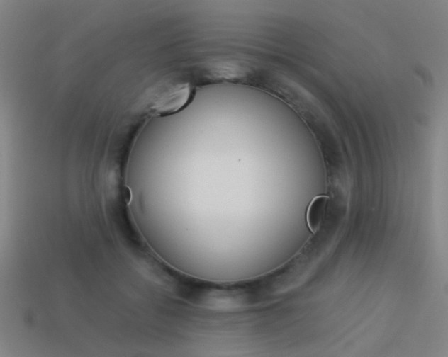 X0000114150556200910081115