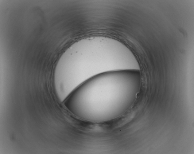 X0000114150558200910081115