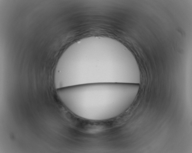 X0000114150559200910081115