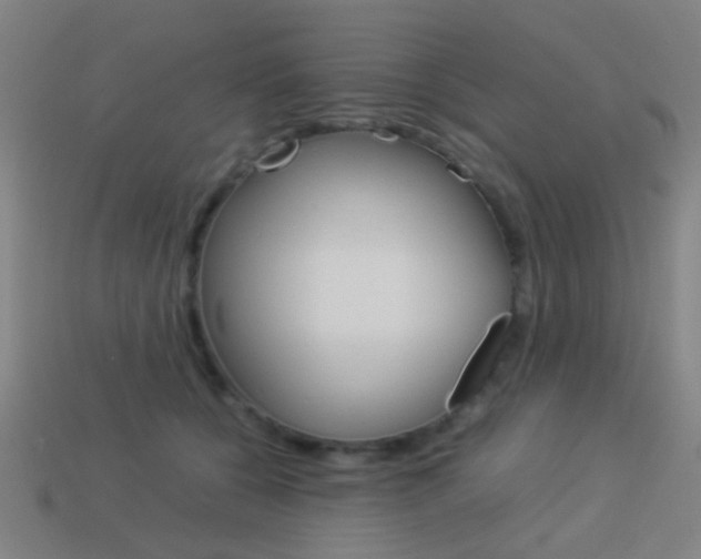 X0000114150560200910081115
