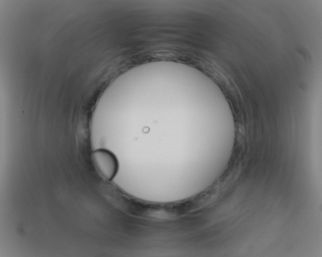 X0000114150561200910081115