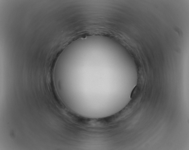 X0000114150562200910081115