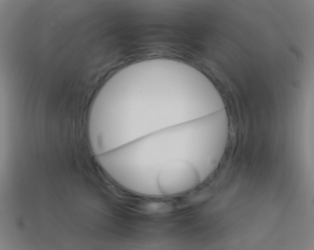 X0000114150563200910081115