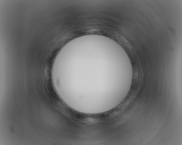 X0000114150565200910081115