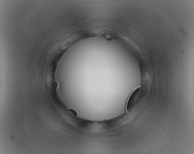 X0000114150566200910081115