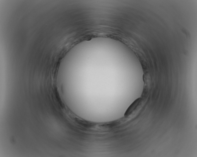 X0000114150568200910081115