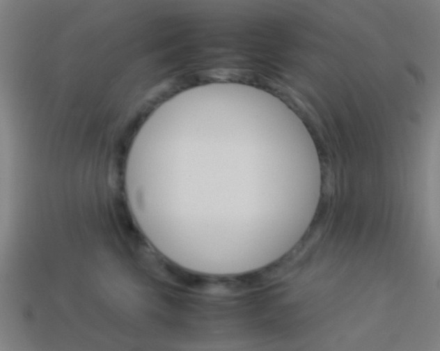 X0000114150569200910081115