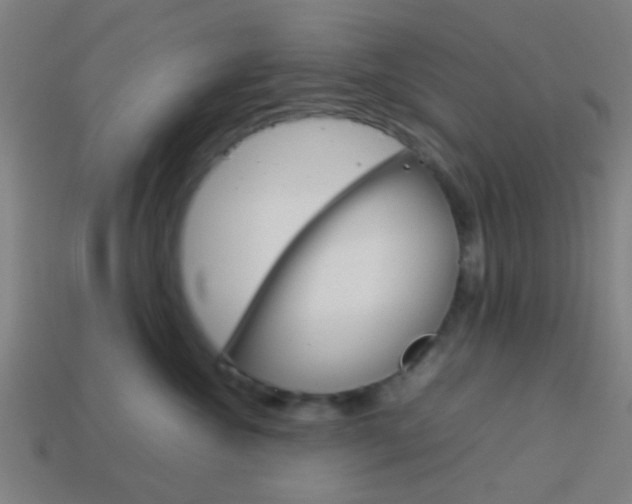 X0000114150572200910081115