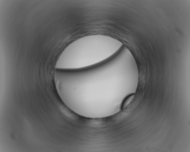 X0000114150574200910081115