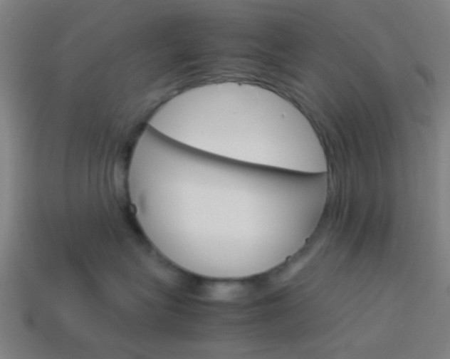 X0000114150575200910081115