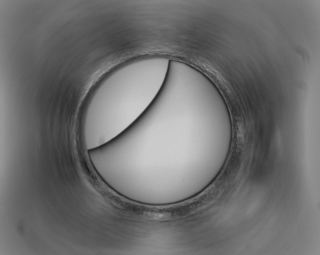 X0000114150582200910081114