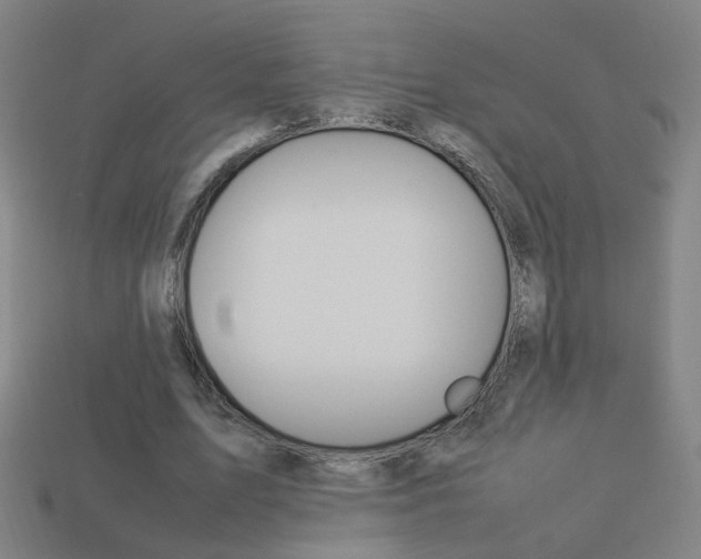 X0000114150583200910081114