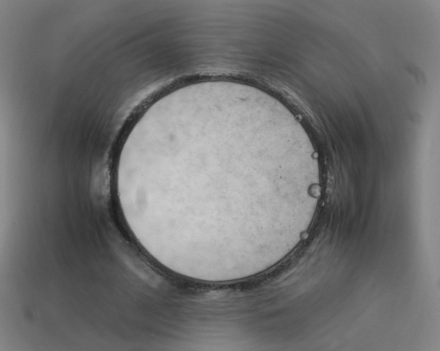 X0000114150584200910081114