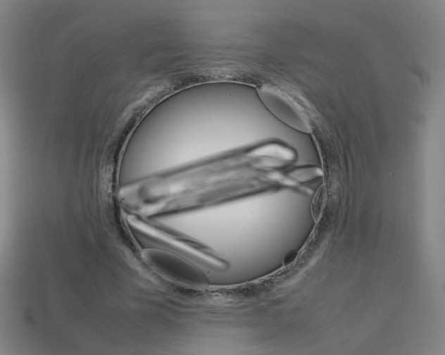 X0000114150585200910081114