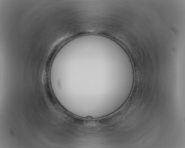 X0000114150587200910081114