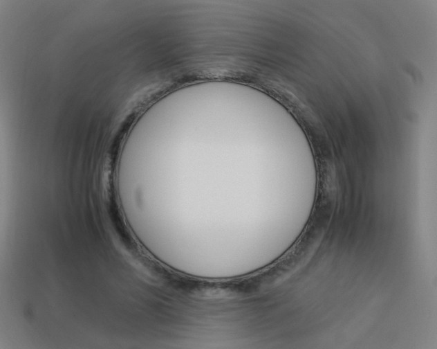 X0000114150590200910081114