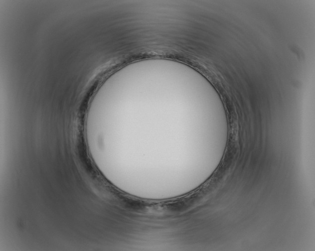 X0000114150591200910081114