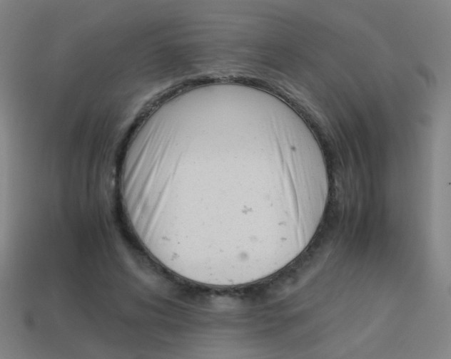 X0000114150592200910081114