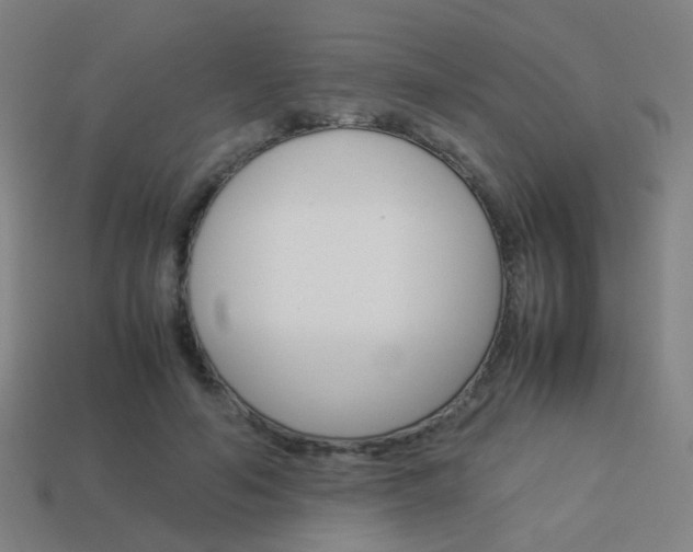 X0000114150594200910081114