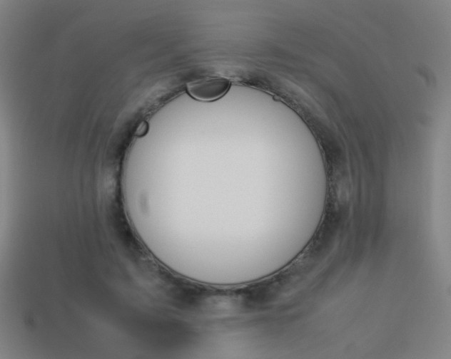 X0000114150595200910081114