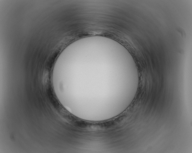 X0000114150598200910081114