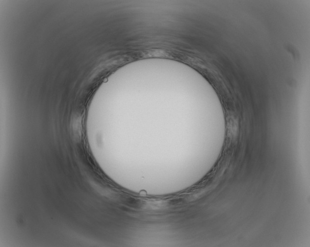 X0000114150599200910081114