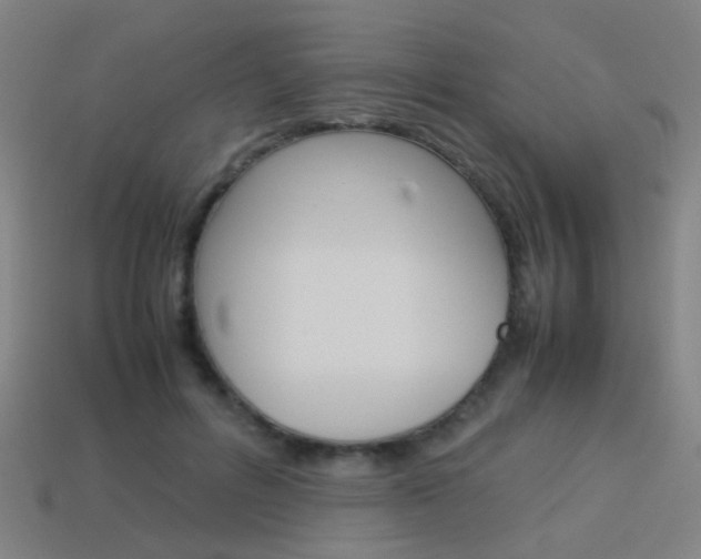 X0000114150600200910081114