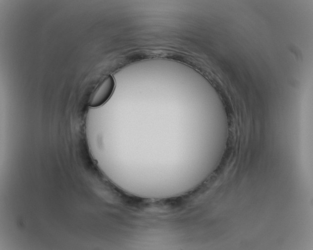 X0000114150601200910081114