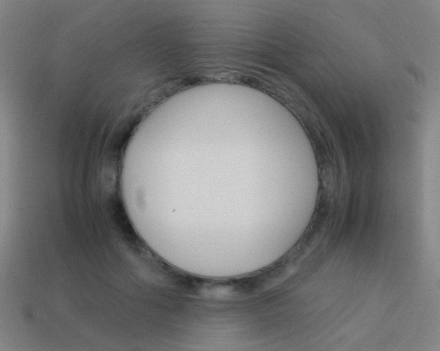 X0000114150602200910081114