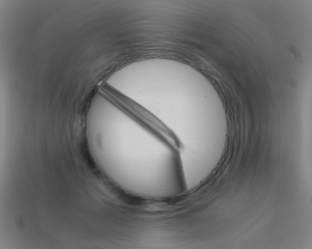 X0000114150605200910081114