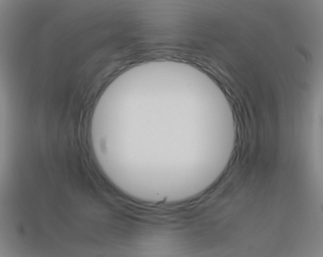 X0000114150611200910081114