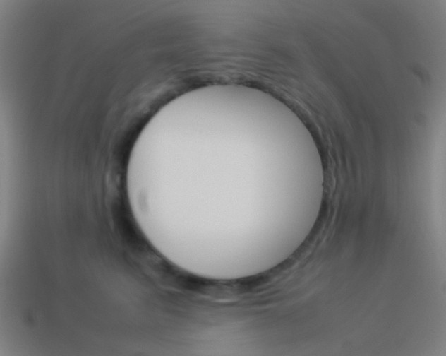X0000114150615200910081114