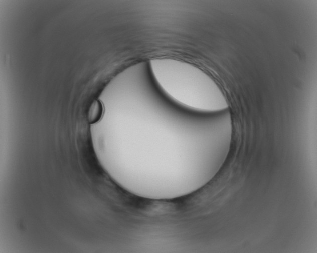 X0000114150617200910081114