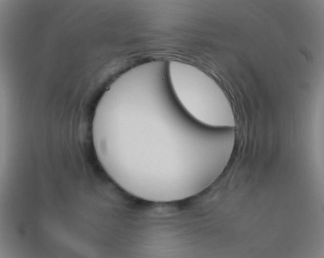 X0000114150619200910081114