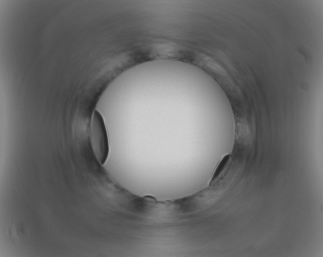 X0000114150621200910081114