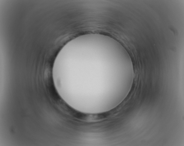 X0000114150623200910081114