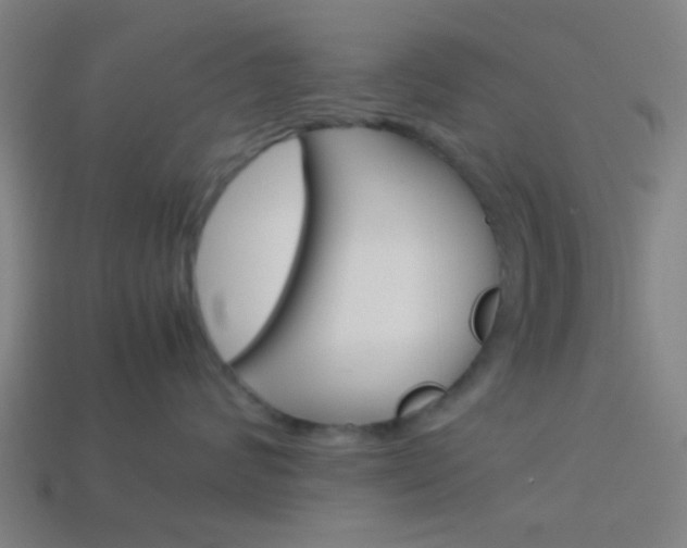 X0000114150624200910081114