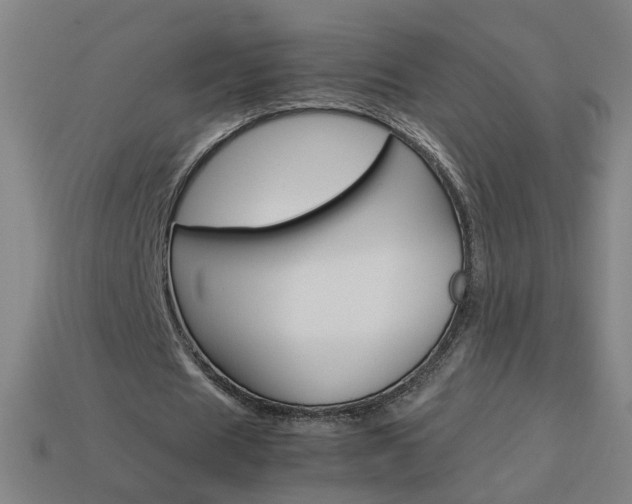 X0000114150625200910081113