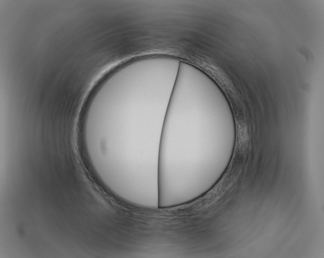 X0000114150628200910081113