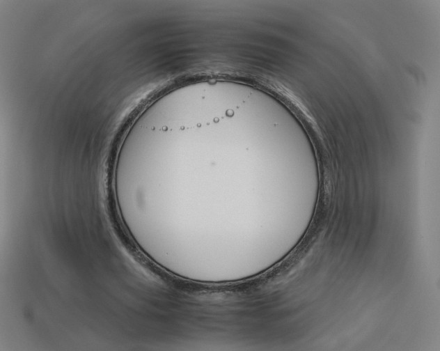 X0000114150629200910081113